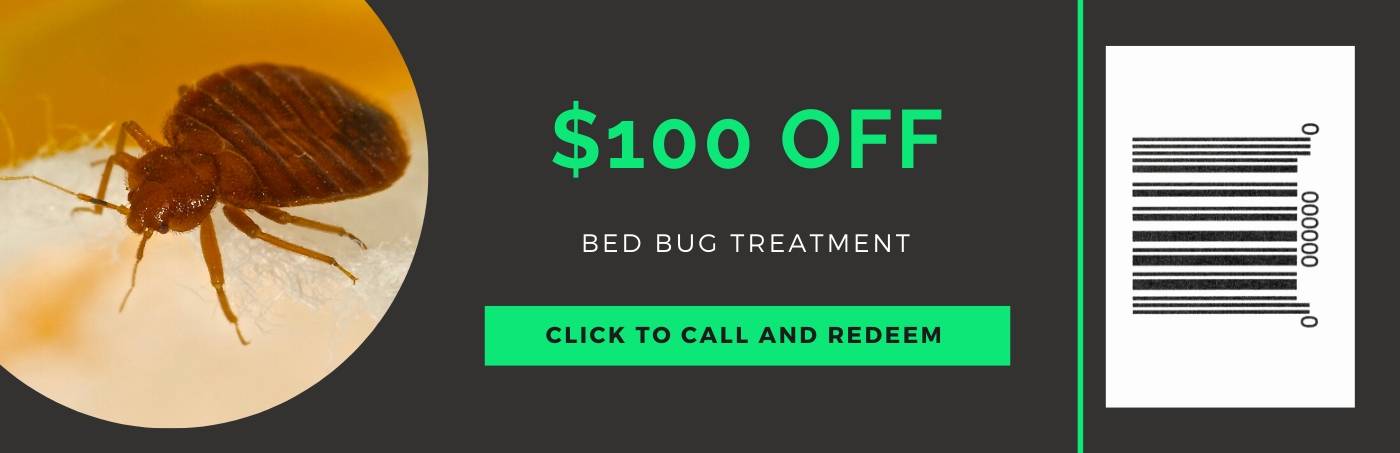 bed bug treatment coupon