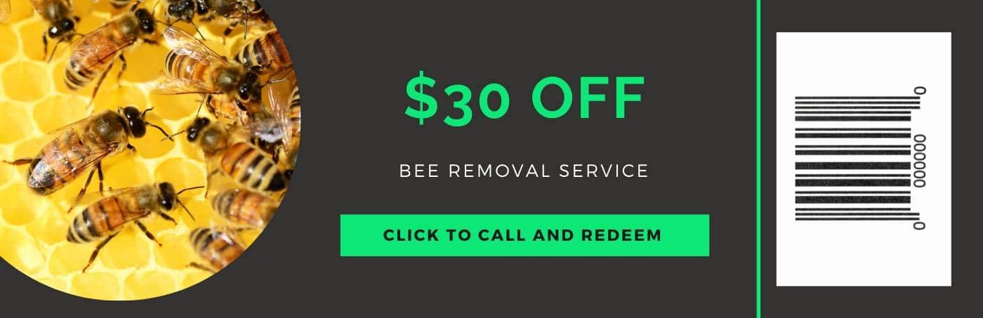 bee removal coupon