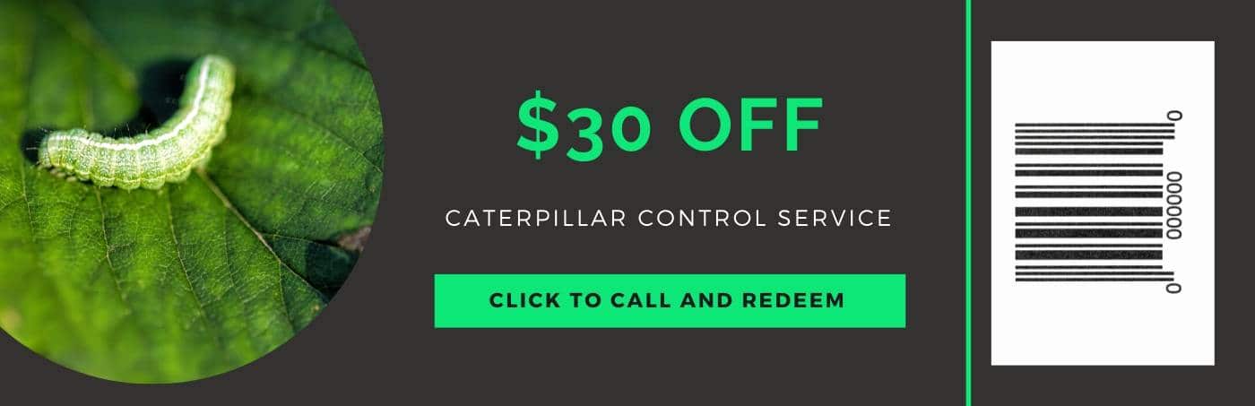 caterpillar control service coupon