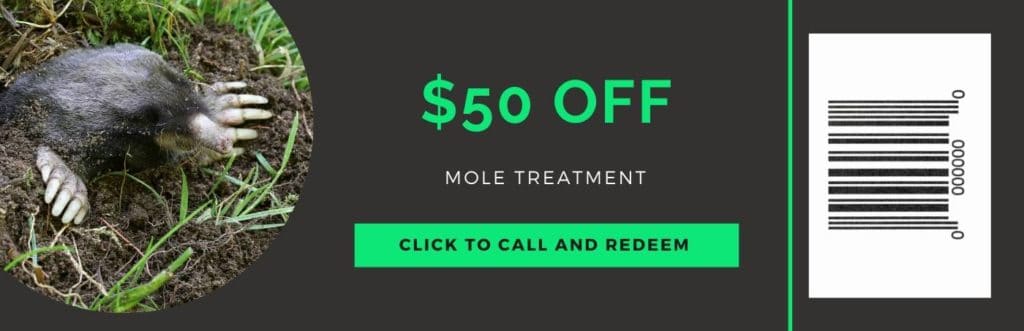 mole treatment coupon