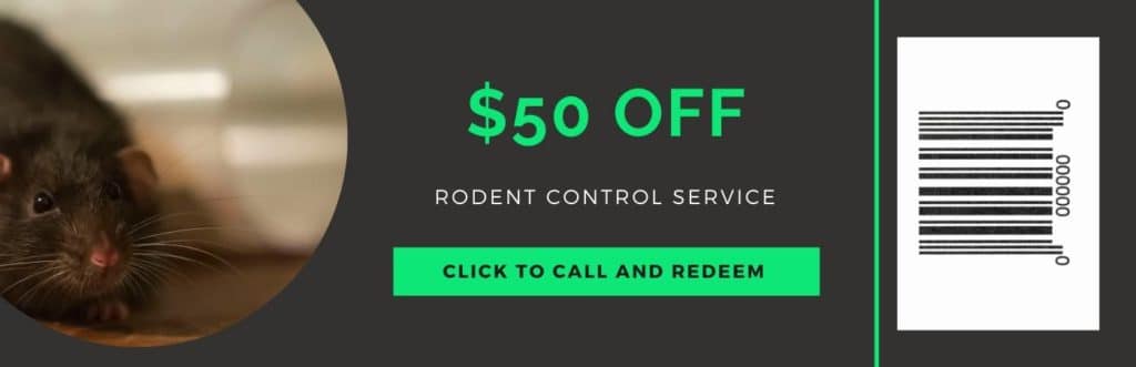 rodent control coupon